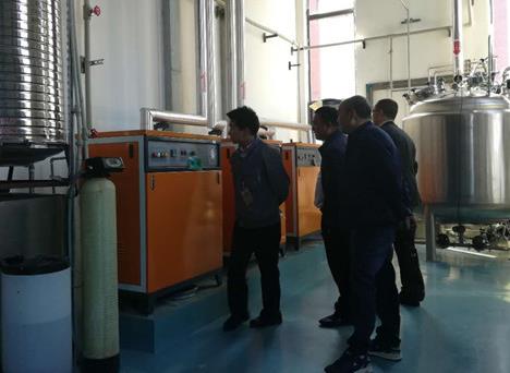 反應釜配套用蒸汽發生器